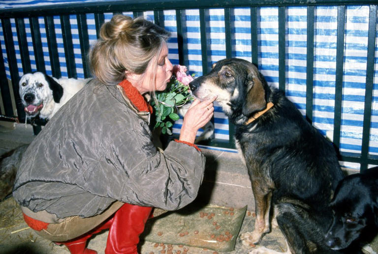 Brigitte Bardot. © GTRES